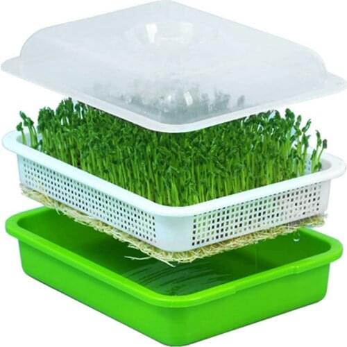 Promotion! Seed Sprouter Tray with Lid BPA Free Bean Sprout Grower Sprouting Seeds Tray, Dirt Free Way and Big Capacity