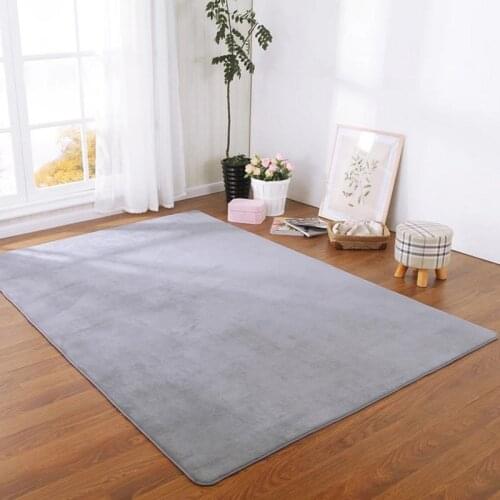 Coral Velvet Carpet Waterproof Anti-slip Sofa Rug Solid Color Living Room Area Carpets Bedroom Bedside Rug Home Large Yoga Mats