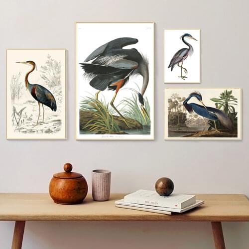Louisiana Heron From Birds Of America Canvas Print Painting American Animal Bird Nature Poster Wall Picture Kitchen Home Decor