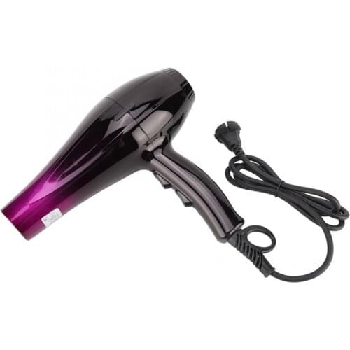220V High Power Pet Dog Cat Electric Hair Dryer Cold and Hot Wind Hairdryer Electric Hair Dryer Styling Tools Household Use