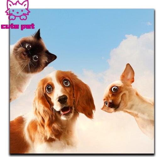 Diy Diamond Painting King Charles Hound Chihuahua Himalayan Cat Cross Stitch Kits 3D Diamond Mosaic Embroidery Mosaic Decoration