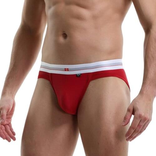 Men Briefs Ice Silky Panties Men Underwear Brief Summer Men Underpants Transparent Sexy Panties Gay Underwear Seamless