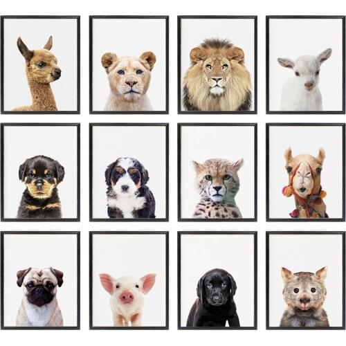 Set of 12 Print Minimalist African Animal Maltese Puppy Dog Camel Baby Pig Pictures Nursery Sloth No Frame Wall Painting