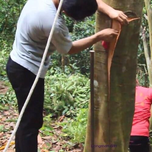 2021 New Arrival Dried Organic Long Cinnamon Stick Restaurant Incense Family Cooking Aromatherapy