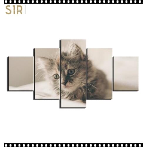 HD 5 Pieces Pet Cat Animal Pictures Posters Wall Art Home Decor for Living Room Painting on The Wall Cat Pet Pictures Wall Art