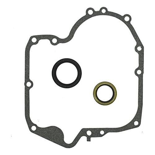Crankcase Gasket & Oil Seal Combo For BS 697110 & 795387