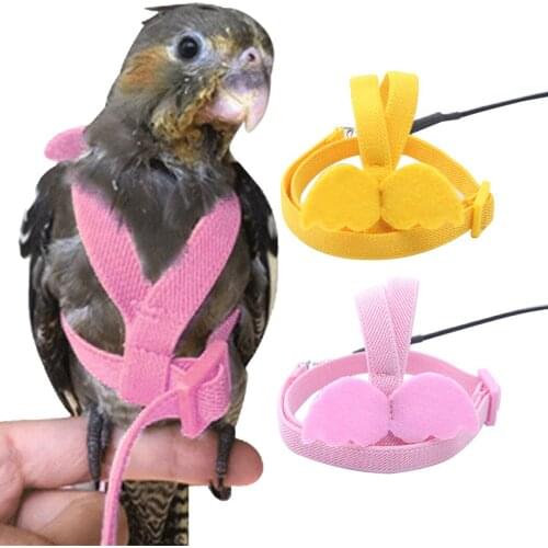 Fashion Parrot Harness With Leash Adjustable Parrot Bird Harness Leash For Parrots Outdoor Flying Rope For Cockatiel Small Birds