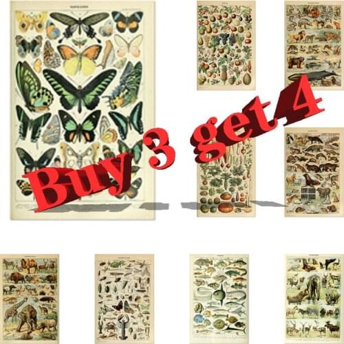 Hot Sale Vegetable Fruit Mushroom Poster Print Antique Wall Art Print Botanical Picture Science Poster Kraft Paper