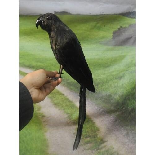 About 40cm black feathers parrot bird ,Handmade model prop,home decoration toy gift w3955