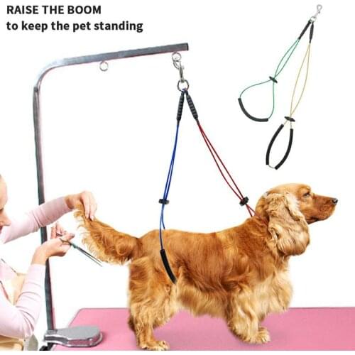 Stainless Steel Pet Dog Cat Grooming Loop Table Adjustable Arm Body Holder Rope Harness Pet Grooming Standing Training