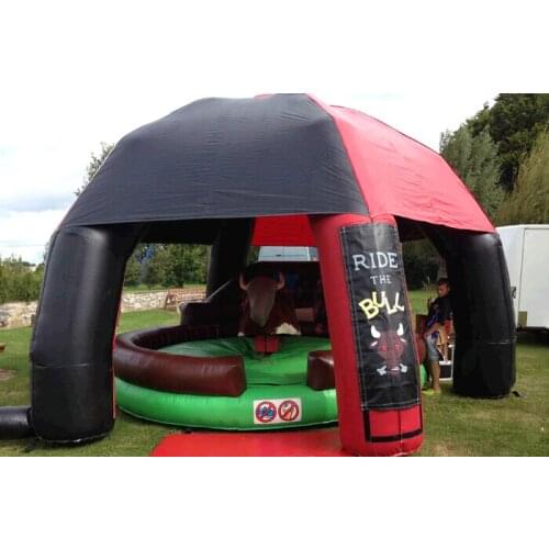 China Guangzhou) manufacturers selling inflatable slides,Inflatable Games, CHA-230