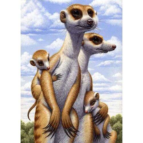 5D Diamond Painting Cross Stitch Animal mongoose Patterns Full Square Diamond Mosaic Picture Of Rhinestones Wall Art Decor Gifts