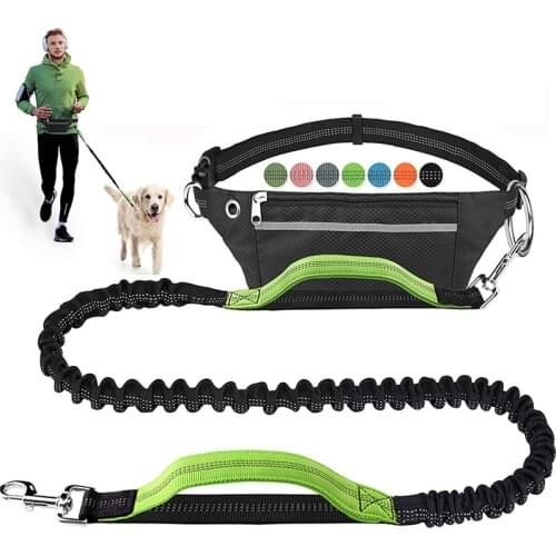 LDLC Leashes For Dogs