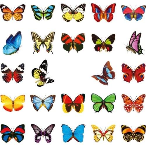 Butterfly Window Adsorption Window Glass Adsorption Butterfly Stickers Adhesion Decorative Window Stickers with Scraper Retail