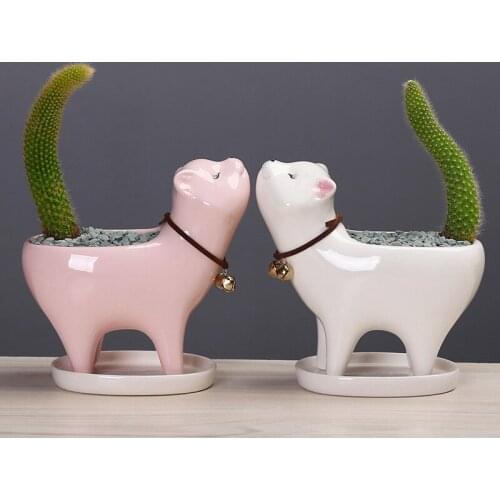 Garden cat tail succulent cactus ceramic flowerpot cartoon cute personality ornaments