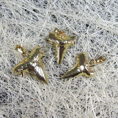 H-DP1019 Small Real Shark Tooth pendant Charm dipped in 24k gold