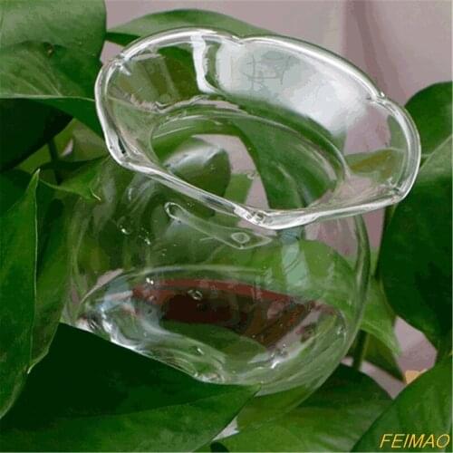 Heart-shaped Glass Plant Flowers Water Feeder Automatic Self Watering Devices