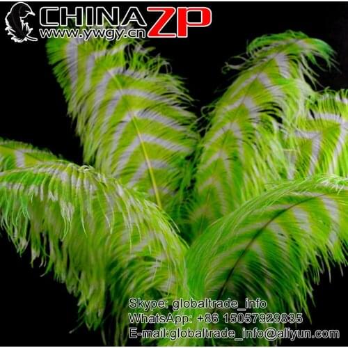 CHINAZP Factory Size 70-75cm (28"-30") 50pcs/lot Good Quality Dyed Lime Green and White Striped Large Ostrich Feather