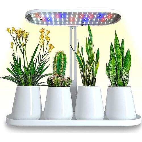 LED Grow Light USB Phyto Lamp Full Spectrum Fitolamp With Control Phytolamp For Plants Seedlings Flower Home Phytotape