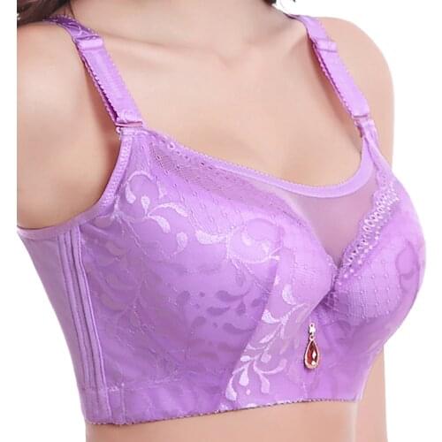 FallSweet Full Coverage Bras for Women Plus Size Lace Brassiere with Mesh E F Cup Push Up Underwear