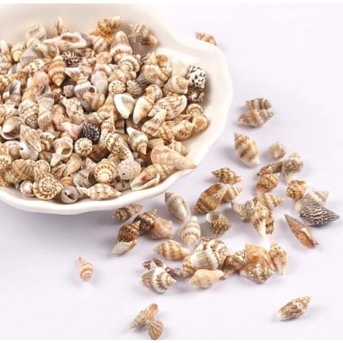 100Pcs/lot Natural Leopard Print Seashell For Glass Bottle Fish Tank DIY Scrapbook Handmade Home Stripe Spiral Shell Beach Decor