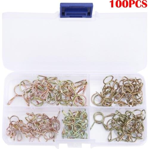 100pcs Hose Clamp High Quality Zinc Plated Spring Clips Gear Hose Fuel Line Clamp for Boats with Storage Box 6/7/8/9/10mm