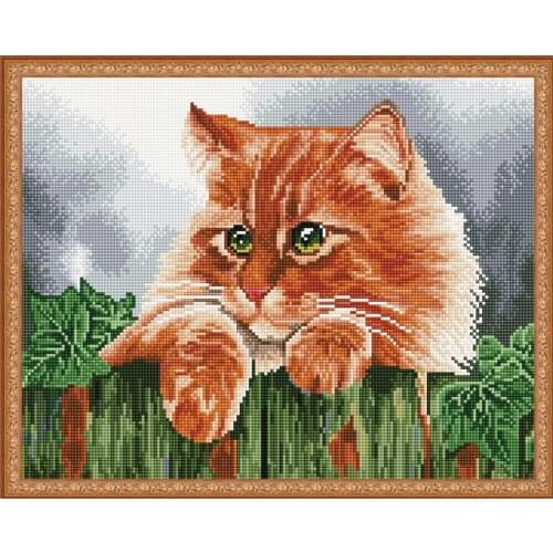 MOLLY Embroidery Kits