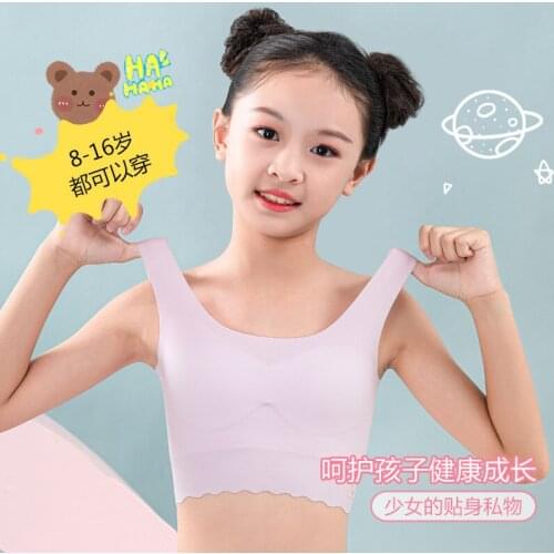DancingBear Underwear For Babies