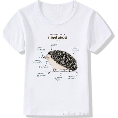 Cute anatomy of a hedgehog animal print funny tshirt lovely toddler baby boys girls clothes graphic t shirts kids t-shirt Top