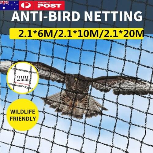 3 Sizes Durable Pest Control Crops Fruit Tree Vegetables Flower Netting Tackle Fish Mesh Trap Bird Net Bird Catcher