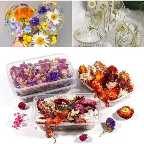 1 Box Dried Flower Plant Epoxy Resin Molds Flowers Silicone UV Resin Epoxy Mold Nail Art For DIY Jewelry Making Supplies