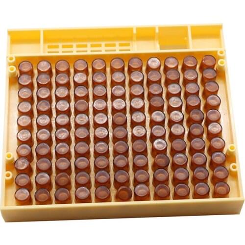 5set Bees Queen Rearing System Cultivating Box bee cell cups plastic Beekeeping Tools Queen bee breeding special tools hot sale