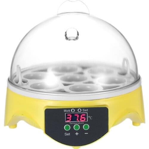 7 Eggs Mini Digital Egg Incubator Hatcher Transparent Eggs Hatching Machine Automatic Temperature Control for Chicken Duck Eggs
