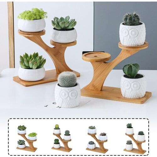 Lovely White Round Flower Pot With Trunk Succulents Indoor Herb Mini Potted Plants For Office Decoration Garden Home Accessories