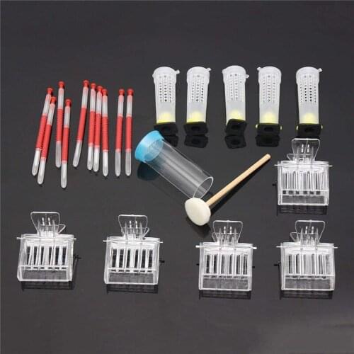 DLKKLB Beekeeping Tools Kits Moving Grafting Set Shift Needle Bee Clips Hive Queen Larva Rearing Feeding Equipment Apiculture