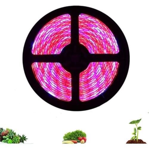 Youe Shone Plant Lamps