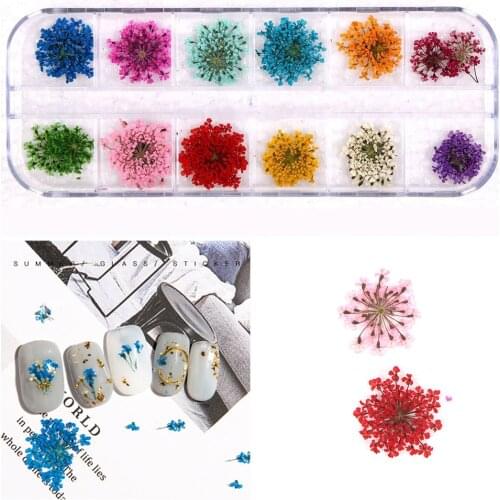 New 12 Colors 3D Decoration Real Dry Dried Flower for Gel Nail Art Tips Natural Petal Dried Dry Flower Tips Manicure Tools