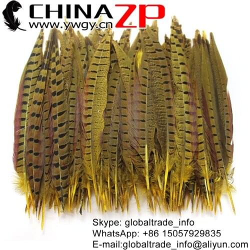 CHINAZP Factory 100pcs/lot 25-30cm(10-12inch) Length Top Quality Dyed Yellow Ringneck Pheasant Tail Feathers