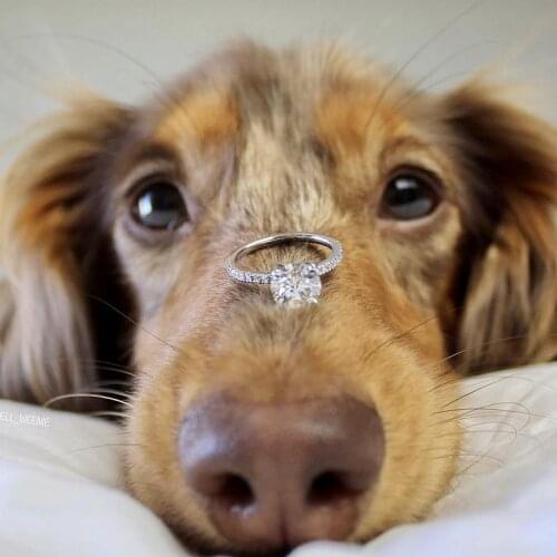 2021 New Trendy Elegant Zircon Rings For Women Rhinestone Wedding Jewelry Size 5-11 Alloy Gift Finger Female Rings