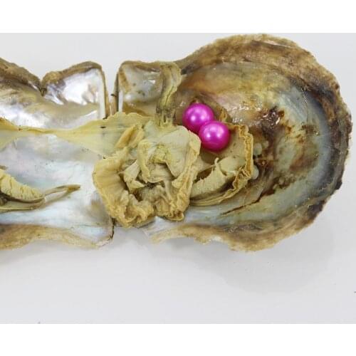 20pcs Vacuum-packed Akoya Pearl Oysters 6-7mm Pink Round Twin Akoya Pearls in Saltwater Oyster Two Pearls Live Party Gift FP357