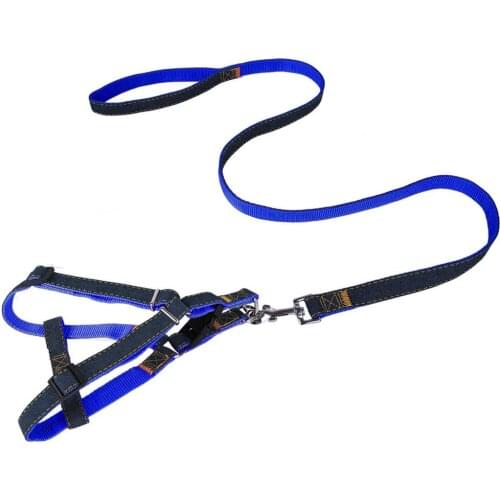 2020 New Dog Leashes Harness Sets Large Strong Canvas Leads Rope Leashes Cats Traction Harness Candy Color Pets Product Supplier