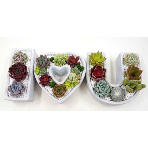 IOVE Garden Decoration Craft Pot Mold concrete flowerpot silicone mold Handmade Desktop Ornament Display Vase Mould