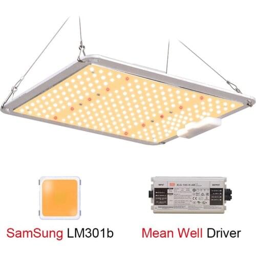 Лампы для растений CANTH China At AliExpress