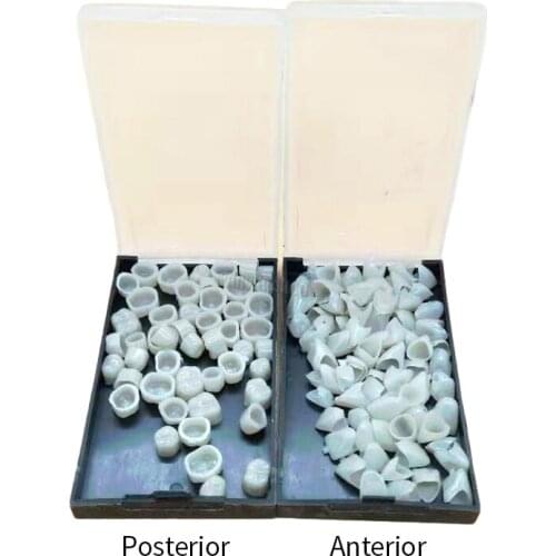 1Box Dental Temporary Tooth Crown Posterior&Anterior Crown Resin Teeth Dentistry Lab Materia