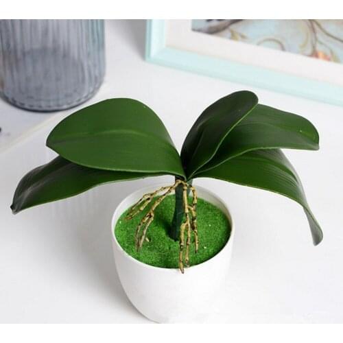 50Pcs Real touch phalaenopsis leaf Potted Plants DIY Wedding decorative flowers auxiliary flower Home decor Orchid leaves
