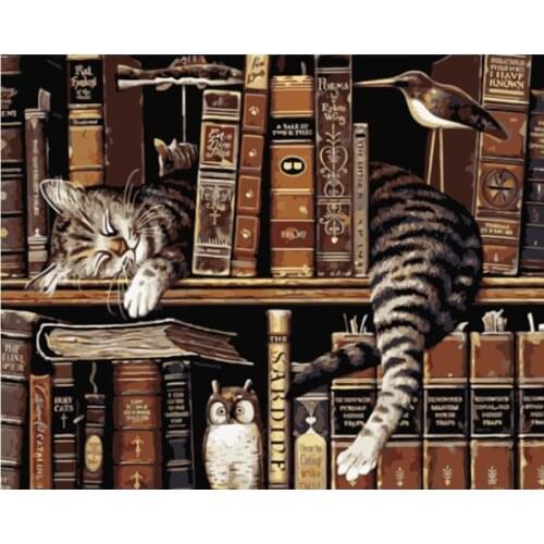 Bookshelf sleeping cat Animal DIY Drawing Painting by Numbers Lage Size Picture on Wall Decoration Children Gift 40x50 50x65cm
