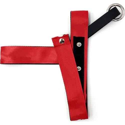 Fashion Pet Dog Harness Leash Set For Frenchie Small Medium Dogs Cats Pet Nylon Walk Out Lead Harness Dog Accessories LC0208