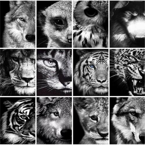 Huacan DIY Diamond Painting Full Square Lion Pictures Of Rhinestones Kits Diamond Embroidery Sale Black And White Handmade Gift