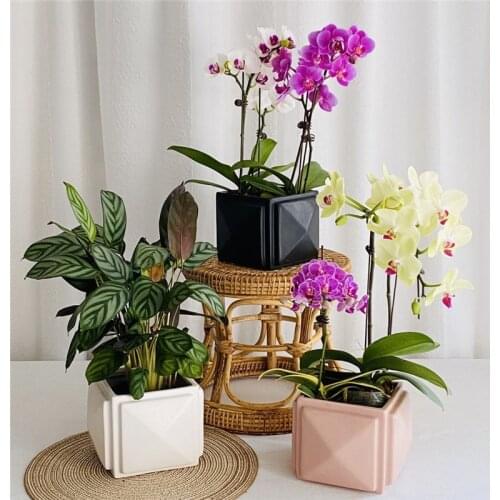 Square Nordic Ceramic Flower Pots Geometric Irregular Small Potted Succulents Flower Pots Home Desktop Gifts Living Room Decor