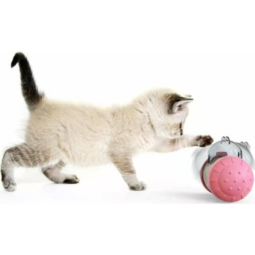 Pet Slow Food Device Dog Cat Swing Bear Leaking Food Toy Pet Tumbler Toy Non-electric Healthy Leaking Food Toy